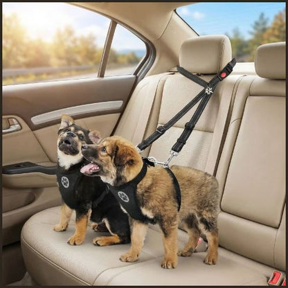 ceinture_de-securite-pour-chien_double-attache-reglable