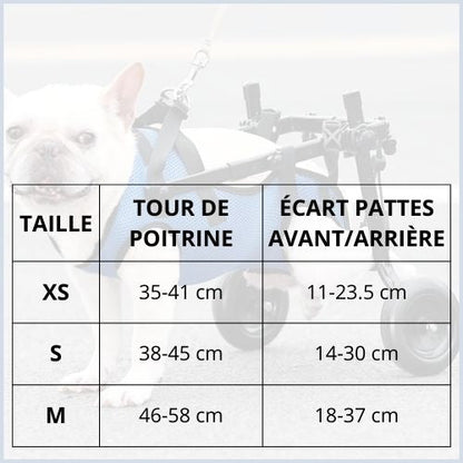 Chariot-pour-chien-handicapé_pattes-arrière-taille