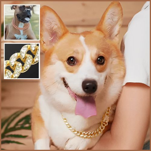 collier-chaine-chien-élégant-avec-strass-boxeur