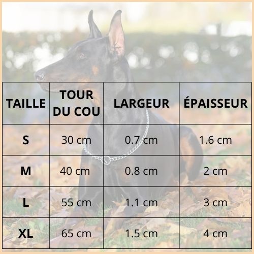collier-chaine-chien_en-acier-inoxydable-pour-dressage-taille