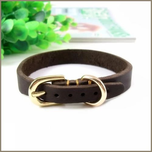 collier-chien-cuir_marron-résistant-et-confortable-petite-taille-anneaux