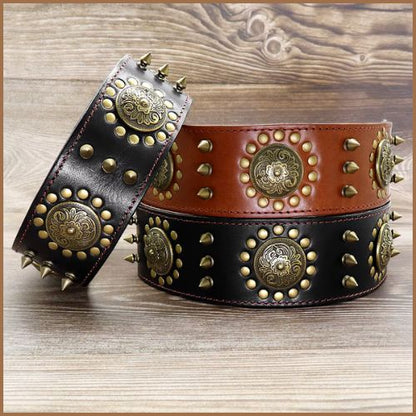 Collier-chien-cuir_résistant-clouté-pique