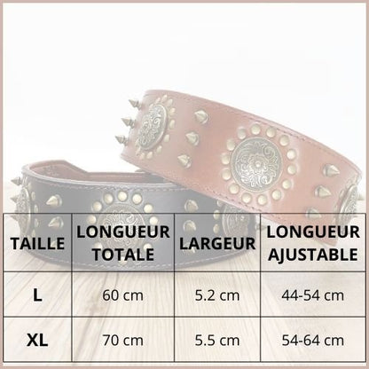 Collier-chien-cuir_résistant-clouté-tailles
