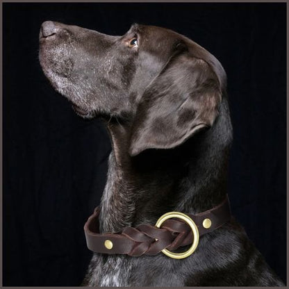 collier-chien-cuir-robuste-tressé-avec-laisse-marron