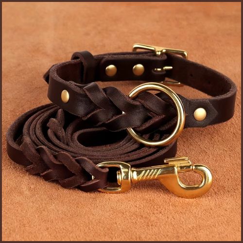 collier-chien-cuir-robuste-tressé-avec-laisse-marron