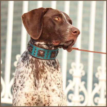 collier-chien-cuir_véritable-ajustable-et-confortable-vert