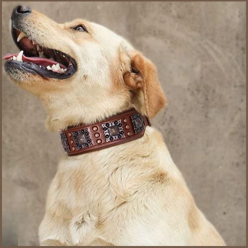 collier-chien-cuir_véritable-ajustable-et-confortable-marron