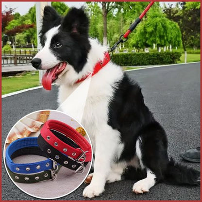 collier-chien_en-nylon-résistant-et-réglable-rouge