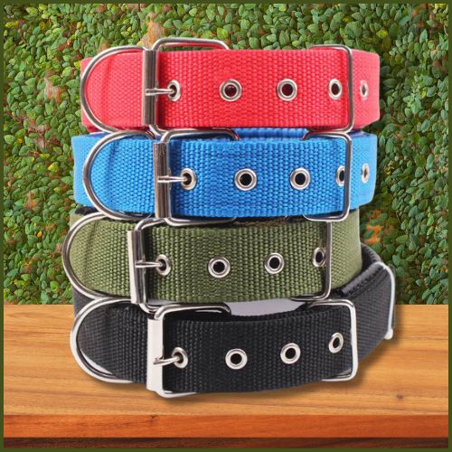 Collier_chien-en-nylon-résistant-et-réglable