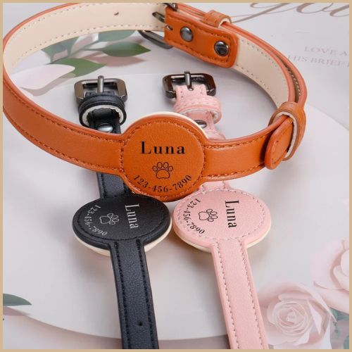 collier-chien-personnalisé