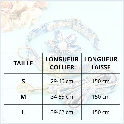 collier-chien-personnalise-avec-gravure-et-fleur-amovible-taille
