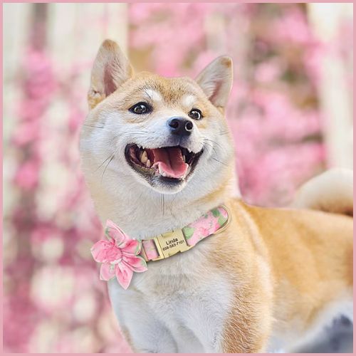 collier-chien-personnalise-avec-gravure-et-fleur-amovible_rose