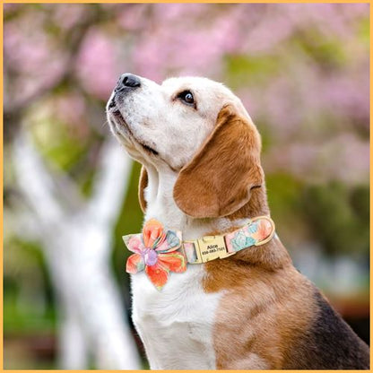 collier-chien-personnalise-avec-gravure-et-fleur-amovible_orange
