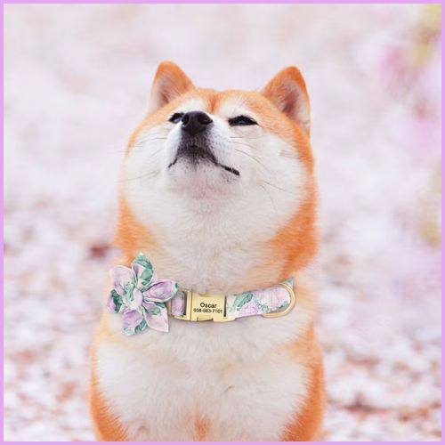 collier-chien-personnalise-avec-gravure-et-fleur-amovible_violet