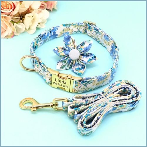 Collier_chien-personnalisé-avec-gravure-et-laisse-assortie-bleu