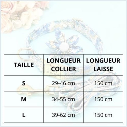 collier_chien-personnalisé_avec-gravure-et-laisse-assortie-taille