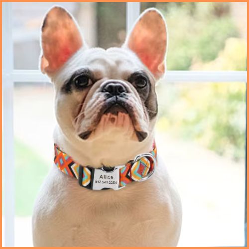 collier-chien-personnalisé-avec-gravure-sur-fermeture-en-métal-orange