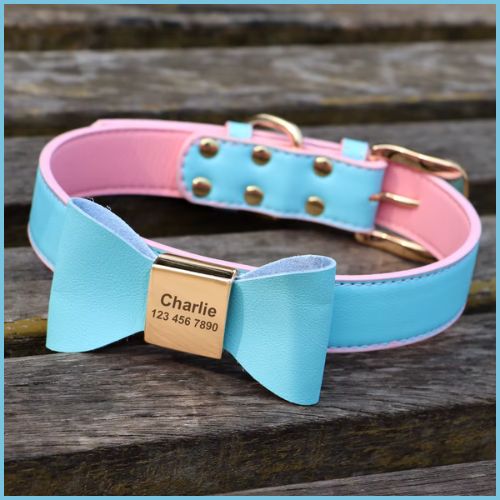 collier-chien-personnalisé_avec-gravure-durable-turquoise-rose