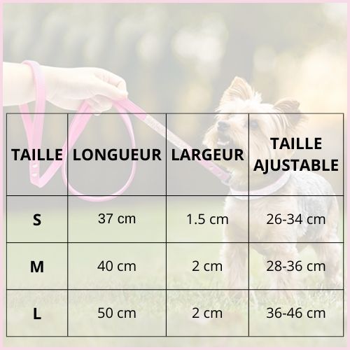 collier-chien-strass-pour-petites-et-moyennes-tailles