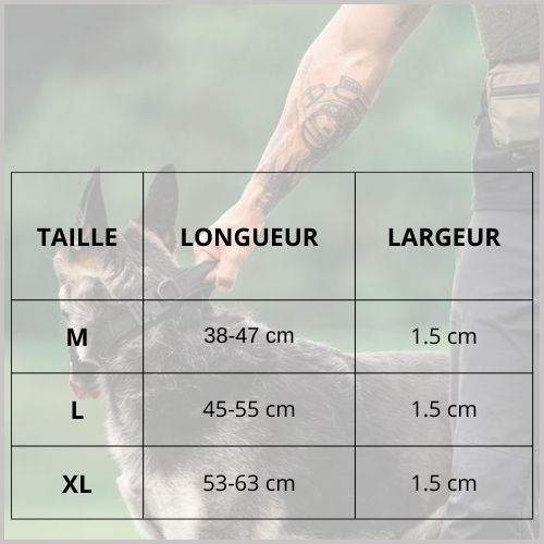 collier-chien_de-dressage-avec-poignée-de-commande