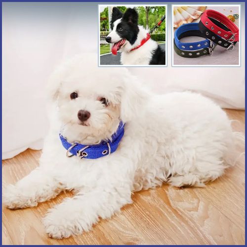 collier-chien_en-nylon-résistant-et-réglable-bleu