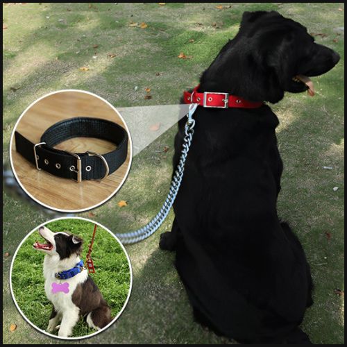 collier-chien_en-nylon-résistant-et-réglable-noir