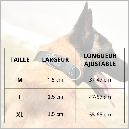 collier-chien_taille
