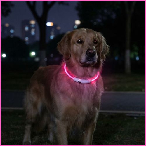 collier-lumineux-chien-LED-rechargeable-USB-reglable-etanche-rose