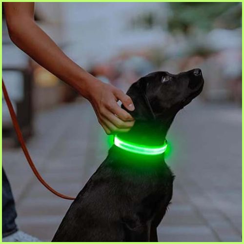 collier-lumineux-chien-réglable-à-piles-longue-durée-vert