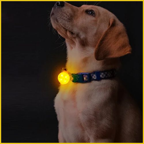 collier-lumineux-chien_pendentif-LED-jaune