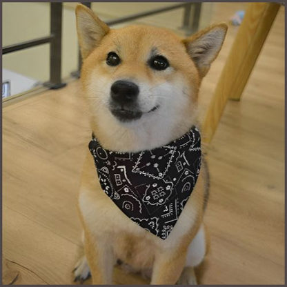 collier-pour-chien_en-bandana-réglable-pour-petit-et-moyen-noir