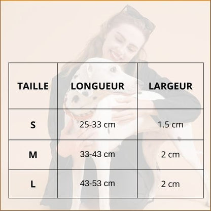 collier-pour-chien_tressé-fait-main-tableau