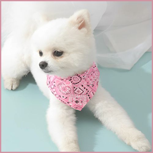 collier-pour-chien- en-bandana-réglable-pour-petit-et-moyen-rose