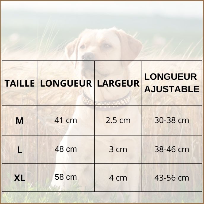 collier-pour-chien_en-similicuir-élégant-et-réglable-tailles