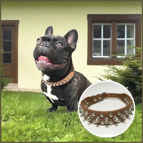 collier-pour-chien_réglable-avec-picots-marron