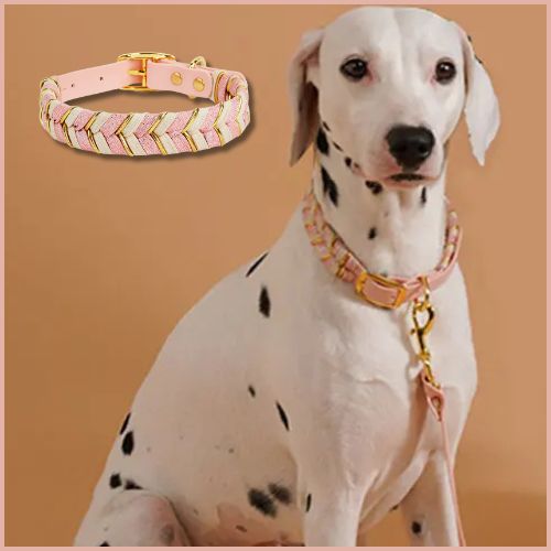 collier-pour-chien_tressé-fait-main-rose-beige
