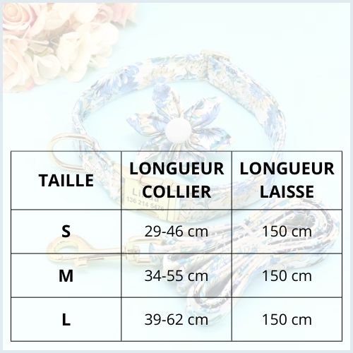 collier_chien-personnalisé_avec-gravure-et-laisse-assortie-taille