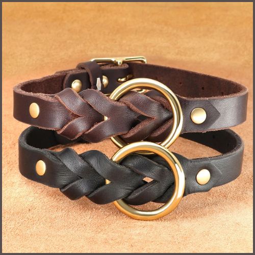 collier_chien_cuir-robuste-tressé-duo