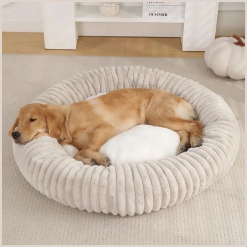 coussin-chien-apaisant-beige