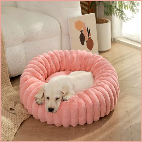 Coussin-chien-douillet_rose