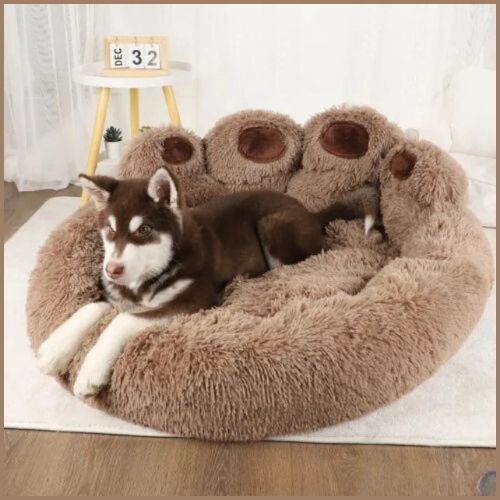 coussin-chien-en-forme-de-patte-marron