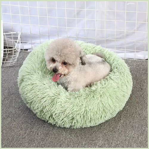 coussin-chien-en-peluche-douce-vert