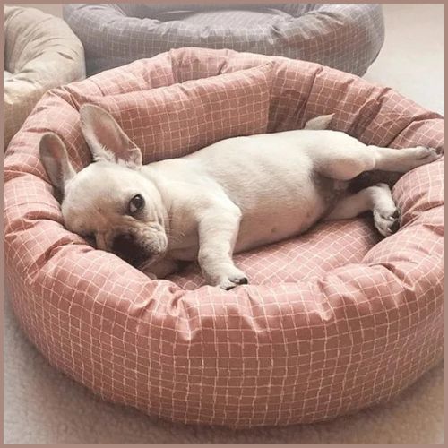 coussin-pour-chien-doux-et-confortable-rose