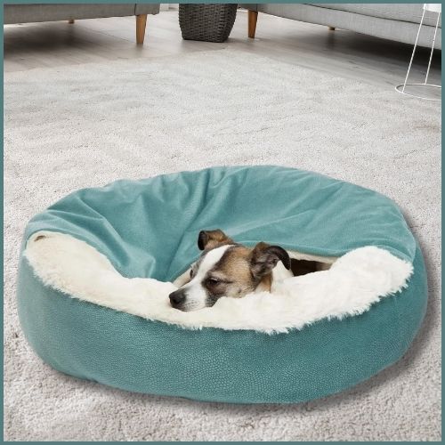 coussin-pour-chien-orthopédique-et-rembourré-salon
