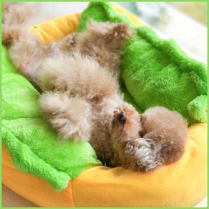 coussin_chien-en-forme-de-Hot-Dog-salade