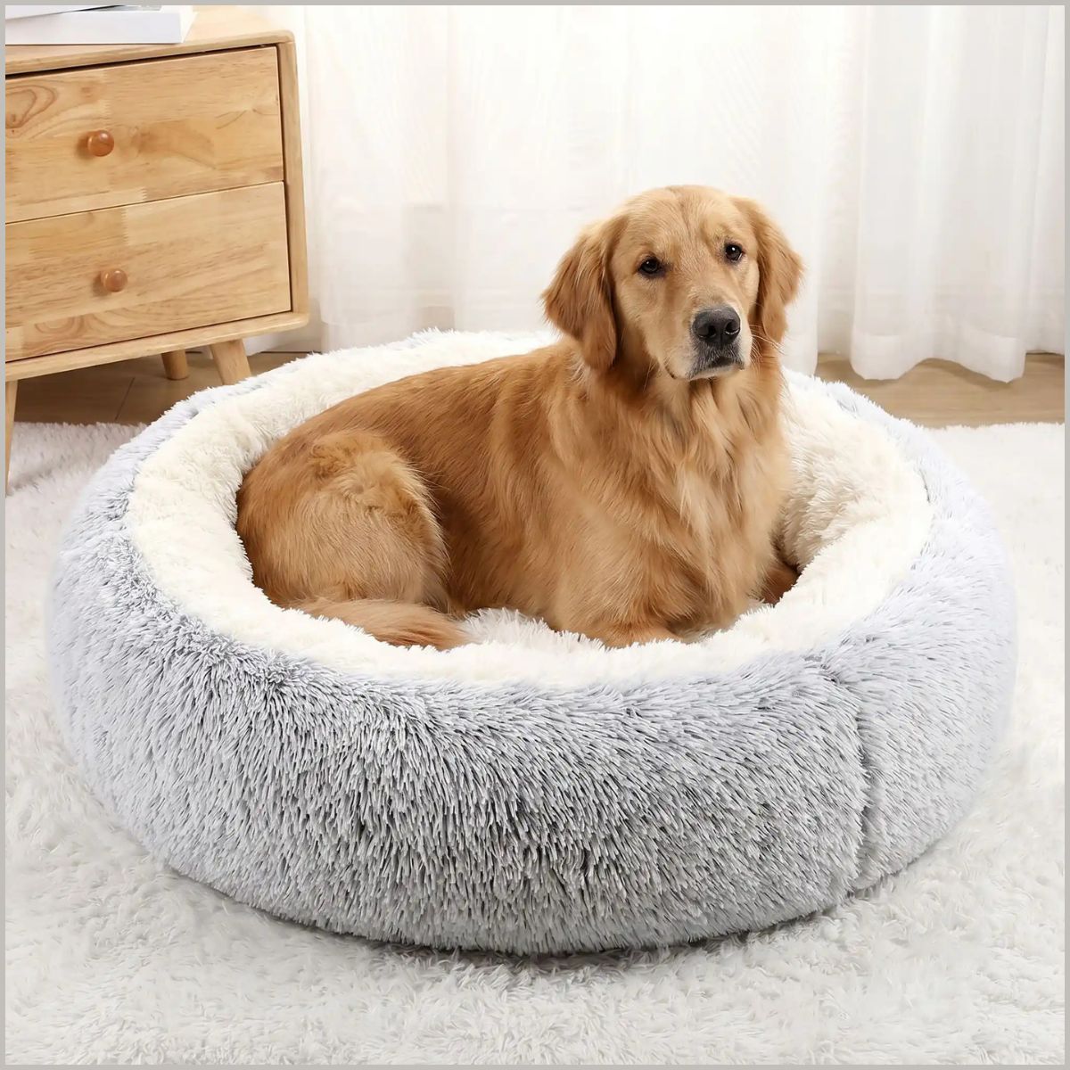 coussin_chien-xxl-ultra-doux-et-rembourré-labrador