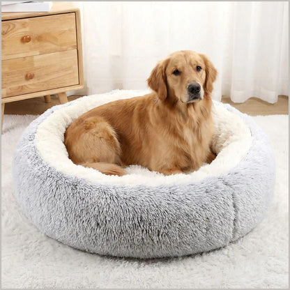 coussin_chien-xxl-ultra-doux-et-rembourré-labrador