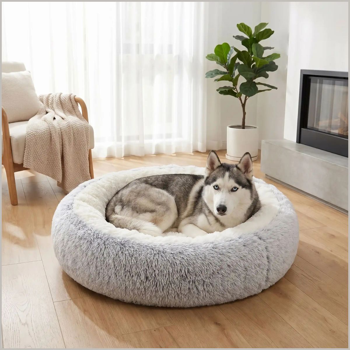 coussin_chien-xxl-ultra-doux-et-rembourré-husky