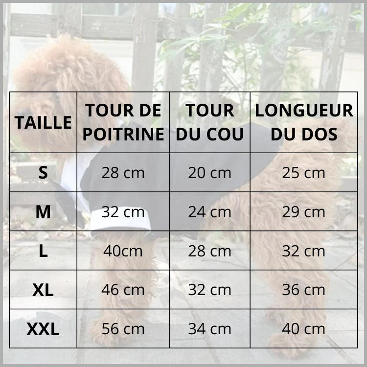 deguisement-chien-en-costume-de-cérémonie-noir