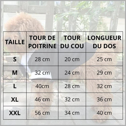 deguisement-chien-en-costume-de-cérémonie-noir